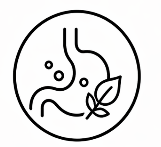 feature-item-3